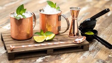 Moscow Mule Complete Set, 2 x 500 ml Cocktail Mugs, 27 cm Bar Spoon, 5cl Jigger & Black Lime Squeezer, Food-Grade, Cocktail Mug Set including Gift Box, Polished Copper
