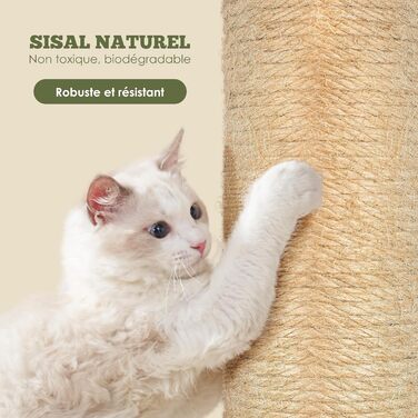 Kratzbaum, 31.5 inches (80cm) High Scratching Post, Cat Tree, Scratching Trunk for Medium and Small Cats, Natural Sisal Scratching Post with Interactive Plush Ball, Beige (Round Palm Style Scratching Trunk)