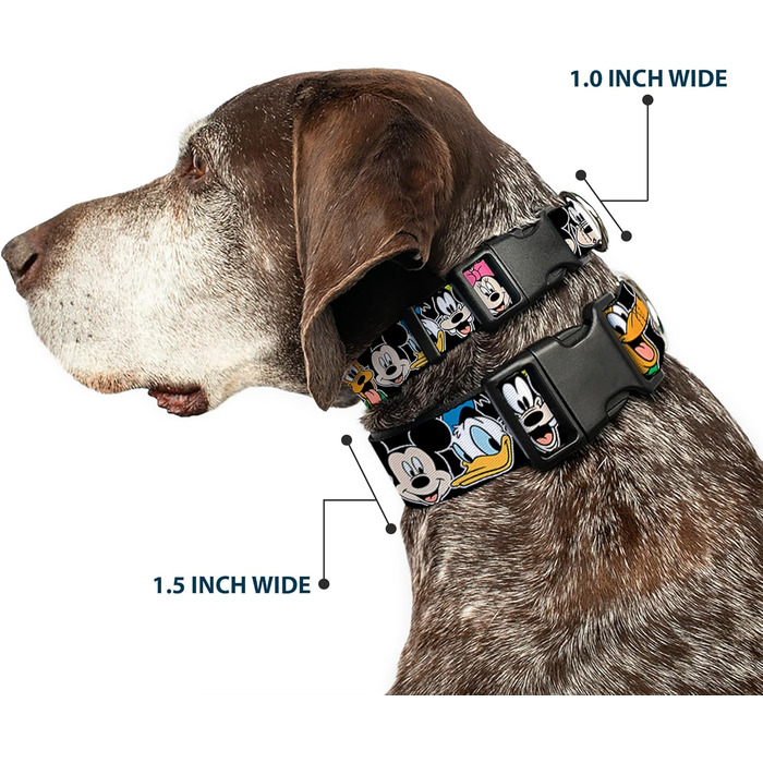 Гермо-нашийник Buckle-Down з класичними персонажами Disney, чорний, пластик, M (11-17 дюймів, 2.5 см)