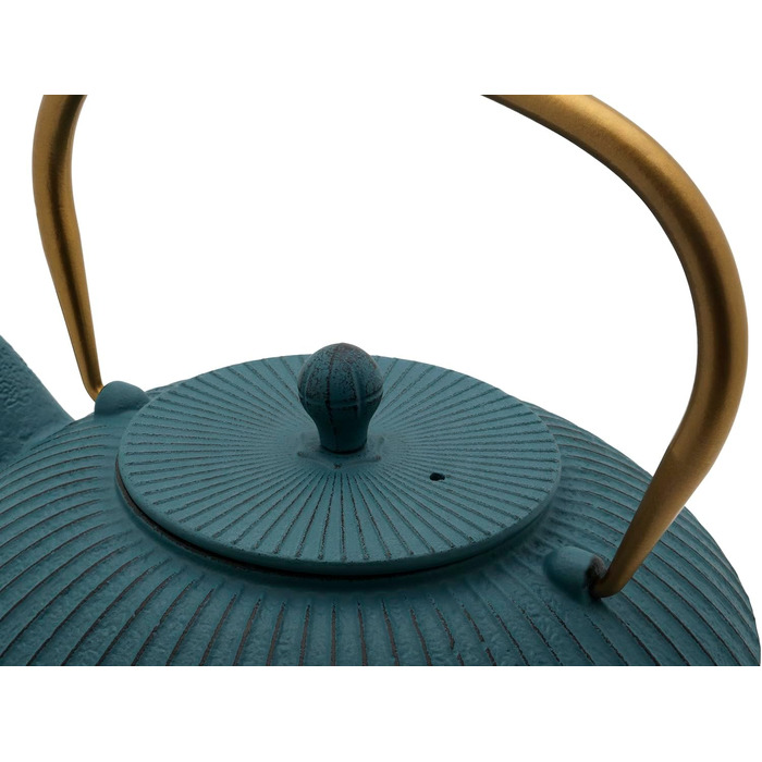 Bredemeijer Blue Flat Asia Teapot 1.1 Liter Cast Iron - Asia Cast Kettle with Stainless Steel Tea Filter Insert