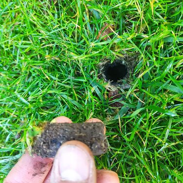 Thick Green Garden Fork Aerator Lawn Aerator Aerating Fork Aerator Lawn Sanding Improved Quality