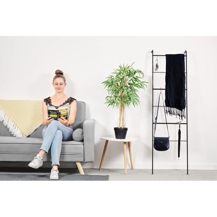 Iris Ohyama Stylish Clothes Rack, Ladder Design, Black, Includes Hooks, Robust Frame, Non-Slip, For Bedroom, Studio, Closet, Space-Saving, Clothes Drying Rack, Easy Assembly, PI-O150