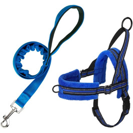 колір: блакитний