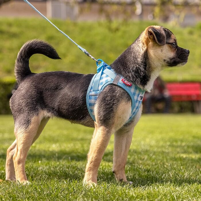 Шлейка для собак curli Clasp Air-Mesh, повідок M (Skyblue-Caro, XS)