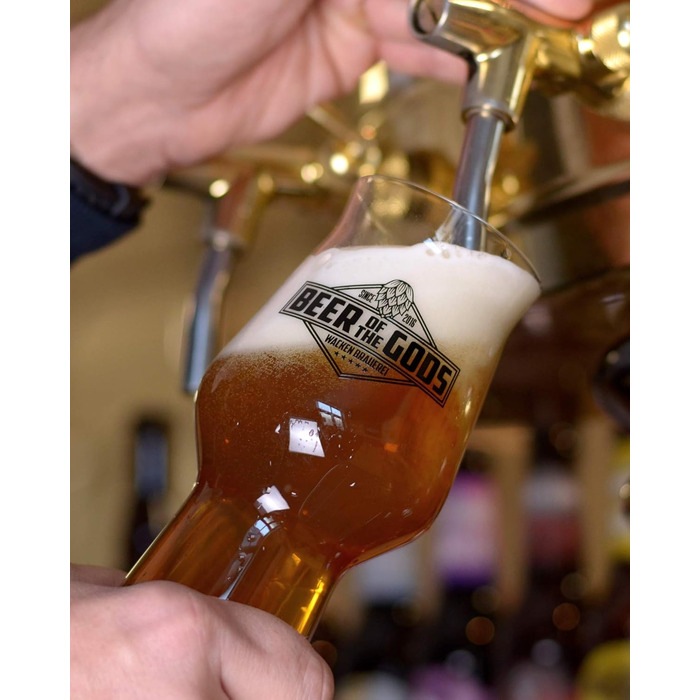 Набір з 3 склянок для крафтового пива Stout від Wacken Brauerei | 300-500 мл | Склянка для IPA, Pale Ale | Стійке до миття в посудомийній машині