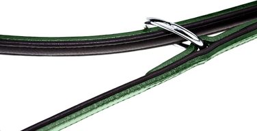Leather Dog Leash - Training Leash - Leather Leash for Dog - Leash 3-Way Adjustable, for All Dogs (230cm, Green)