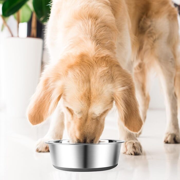 Набори мисок для собак та котів з нержавіючої сталі | Антиковзний силіконовий дно | Різні розміри | 2700 мл