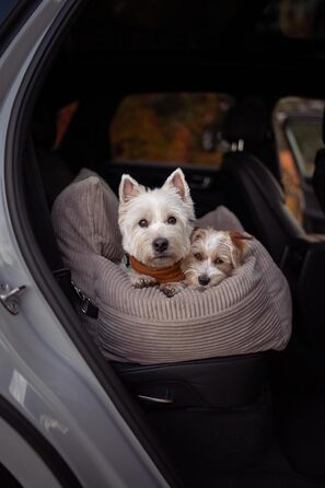 Автоматичний лежак для собак у машину з іменем, бежевий, 60x60x30 см