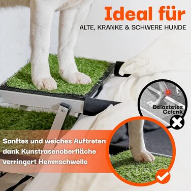 Сходинки для собак у машину, дім, на вулицю, складні - з штучним газоном, до 70 кг, 67 см