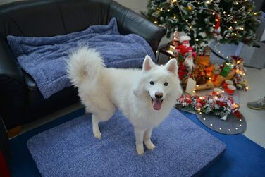 М'яка ковдра для собак та котів Raikou з плюшевою подушкою, 80x60 см, блакитний мікс (миється, не ковзає)