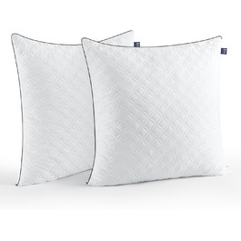 BedStory Pillowcases, 80x80cm, 2-Pack, Breathable Neck Pillows made of 2x1500g Microfiber, Washable Bed Pillows, Ideal for Deep and Relaxing Sleep, Öko-Tex Certified 2.0 White Black 80x80