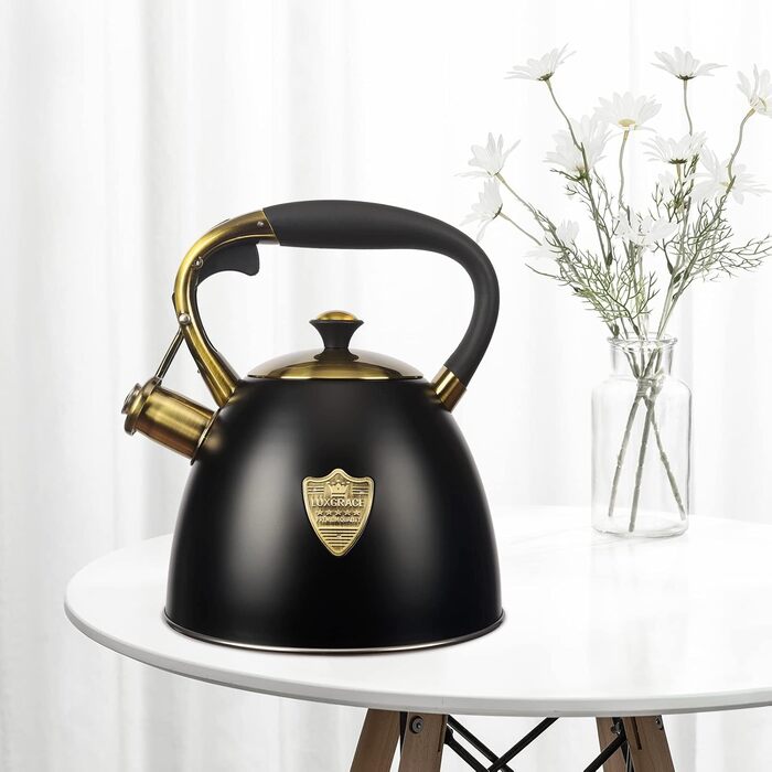 Чайник для плити Teekessel з нержавіючої сталі, 2,9 л, чорний