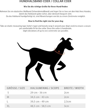 Нашийник для собак Jack Russell з натуральної шкіри чорного кольору з аплікаціями у вигляді серця та квітки, подвійний шар, розмір S (26.0-36.0)