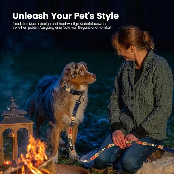 Набір повідка та нашийника для собак, регульований, чорний, S (28–43 см, 1.5 м)