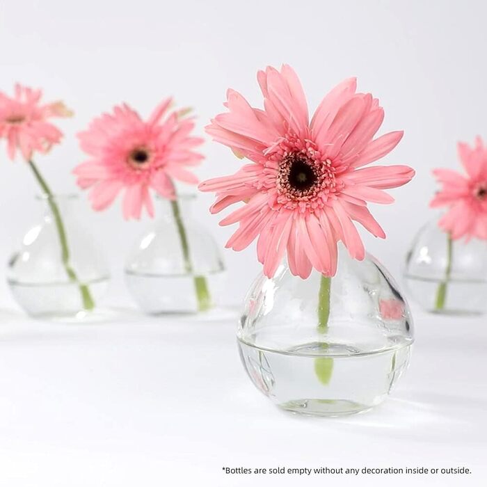 Magic Season Decorative Glass Bottle with Cork Stopper (260ml Potion Bottles / 6 Pieces)