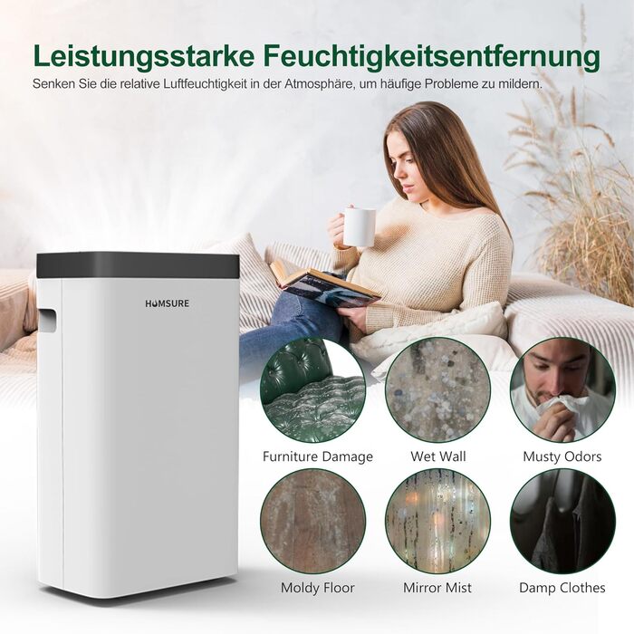 12L/Day Dehumidifier, Electric Dehumidifier with 1.2m Drain Hose, Room Dehumidifier with LED Display, Clothes Drying, Drain Hose, 24H Timer and Defrost, Ideal for Basements, Against Humidity
