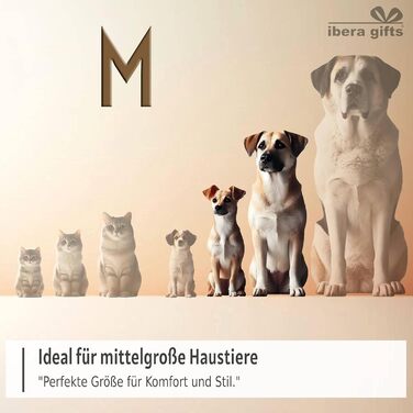 Персоналізований нашийник для собак, з іменем, середнього розміру, 35-50 см, світловідбиваючий (червоний, M)