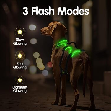 Світловідбиваючий нашийник для собак Jewyow з LED, перезаряджуваний, водонепроникний, 3 режими, зелений, розмір M