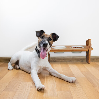 Relaxdays Adjustable Dog Feeder
