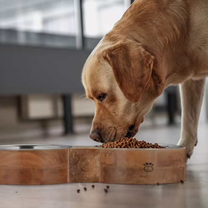 Relaxdays Dog Bowl with 2 Bowl Bowls