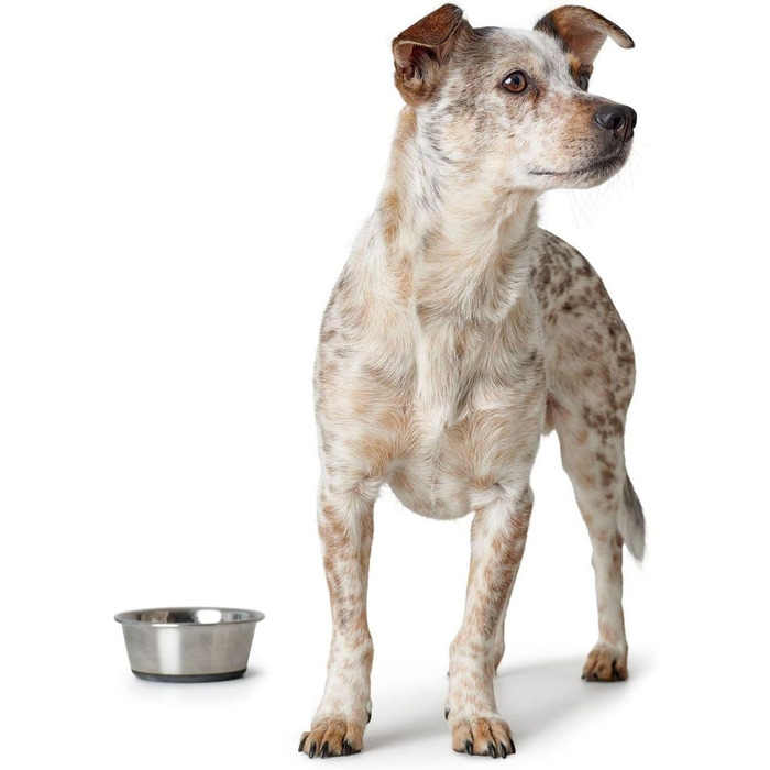 Миска для корму та води Hunter з нержавіючої сталі, 2700 мл, з силіконовим дном, стійка до ковзання, легко миється, довговічна