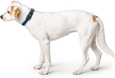 Нашийник для собак HUNTER HILO VARIO BASIC, блакитний, розмір M-L, дихаючий, світловідбиваючий