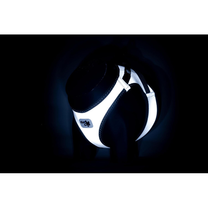 Жилет-шлейка Glow curli Clasp з світловідбиваючим покриттям, сірий, розмір M