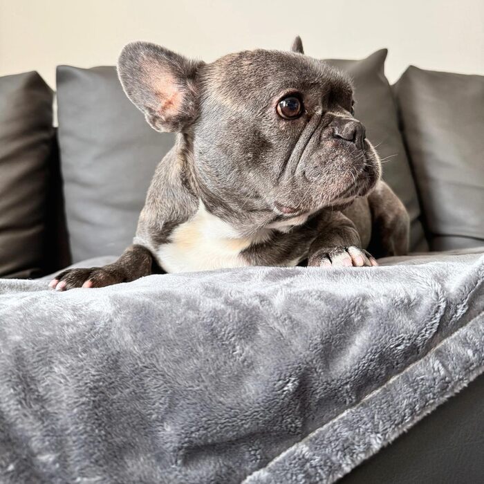 М'яка підстилка для собак та котів 4L Textil - підстилка для подорожей, для дому, захист дивану, 60x40/100x80 см, бежева/сіра