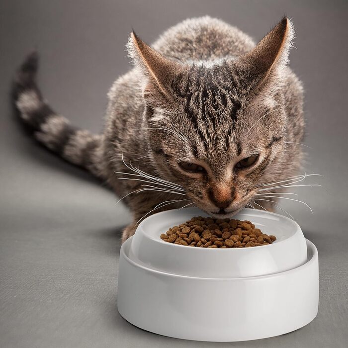 Набір мисок для котів CatGuru: широкі, протиковзні, для зменшення стресу (2 шт.)