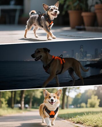 Світловідбиваючий нашийник для собак Joytale з підзарядкою, без натягування, з ручкою, для нічних прогулянок, чорно-синій, M (XL, 1 шт.), помаранчевий