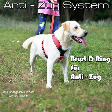 Нашийник для собак III Y - міцний, елегантний та комфортний. Унікальний дизайн для середніх та великих собак. Червоний, L