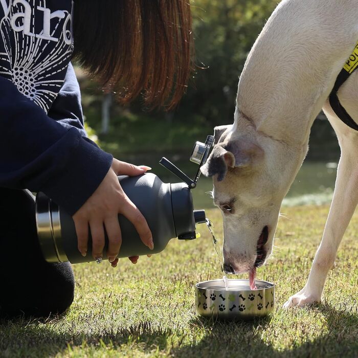 GiNT Ізольована пляшка для води з нержавіючої сталі для собак та людей, багаторазова поїлка-дозатор знімними мисками та сумкою, не протікає, для прогулянок, походів, кемпінгу, авто (темно-сірий)