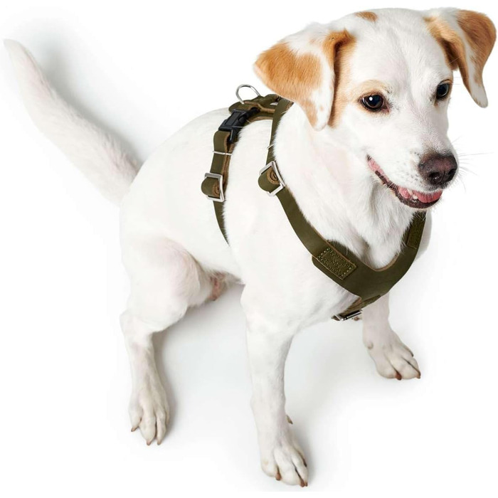 Шлейка для собак HUNTER AALBORG з натуральної шкіри, оливковий колір, розмір M-L