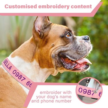 Персоналізоване собаче нашийник з металевою застібкою: напис та номер телефону, регульовані розміри для великих та середніх собак (Collar 06)