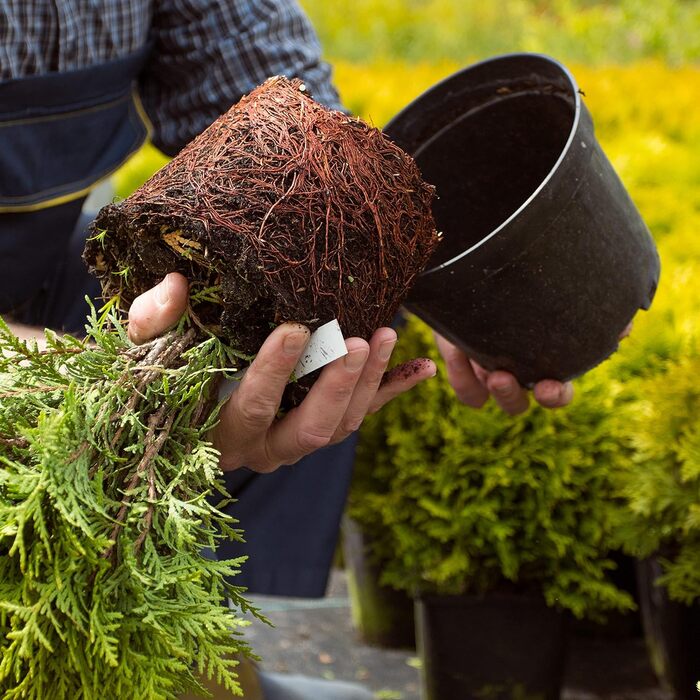 Prime Garden® Круглі пластикові горщики для розсади та квітів, чорні, 31 см, 12 л, набір 10 шт, для дому і вулиці