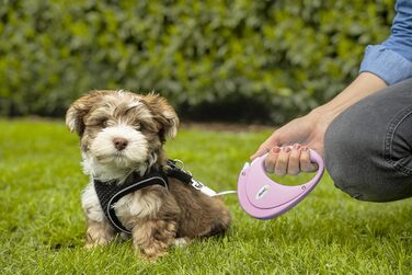 Льовішка Flexi Neon S, 5 м, чорний/неоновий-помаранчевий, світловідбиваюча поверхня, рулетка для собак до 15 кг (Рожевий, M)