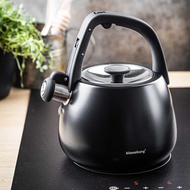 Чайник сталевий 2.5L Induktion (Чорний)