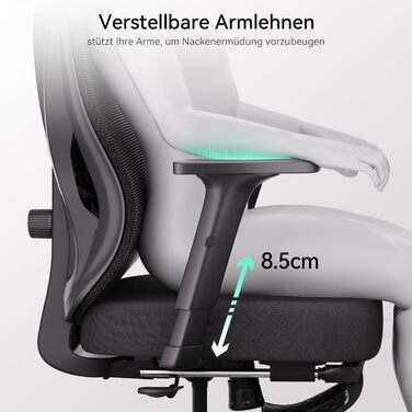 Hbada P5 Ergonomic Office Chair with Adjustable Lumbar Support, Breathable Seat Cushion, Footrest, Black Computer Desk Chair