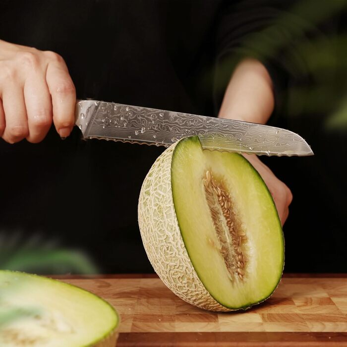 Японський ніж з дамаської сталі Hecef, 20 см, професійний кухонний ніж з ергономічною ручкою з смоли, 67 шарів, з захистом для ножа, подарунок для шеф-кухаря та любителів кулінарії