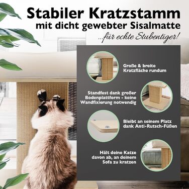 Nemmy Premium Cat Tree Small Beige | Stable Scratching Post Extra Wide | Cat Bed with Cushion | Cat Tree for Large Cats | Modern Wood Natural | Scratching Column | Scratching Post