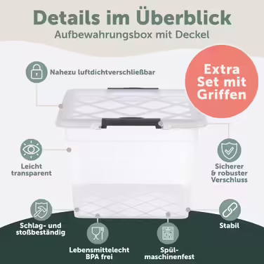 Blumtal Storage Box with Lid 32L Made of Plastic - Storage Boxes 36.5x36x26.5 cm - Storage Boxes Made of 100% New Material with Locking Clips - Storage Boxes with Lid Set of 4