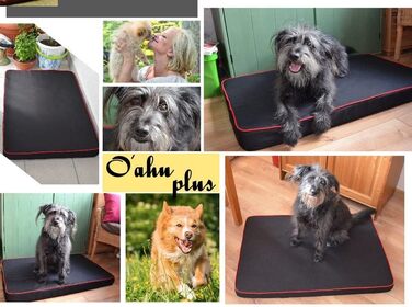 FORTISLINE Dog Mat Dog Bed OAHU Plus 2 Sizes 4 Colors (XL - 120x80x8cm, ) (XL - 120x80x8cm, Green)