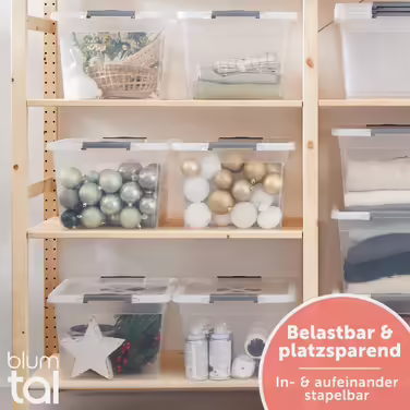 Blumtal Storage Box with Lid 32L Made of Plastic - Storage Boxes 36.5x36x26.5 cm - Storage Boxes Made of 100% New Material with Locking Clips - Storage Boxes with Lid Set of 4
