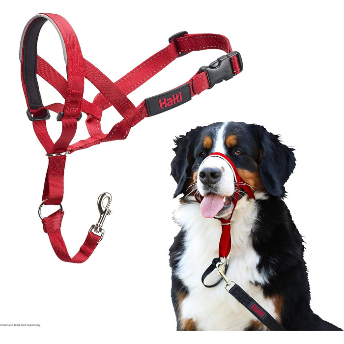 HALTI Нашийник від тяги для собак середніх порід (червоний, розмір 4) - зручна та легка альтернатива повідку