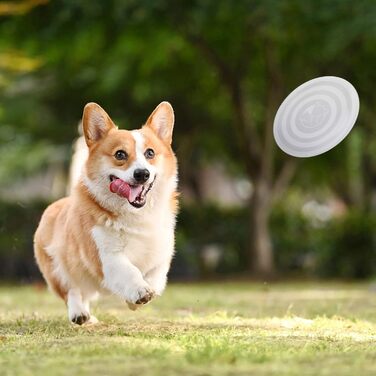Складані годівниці для собак SLSON, 2 шт., з кришкою та карабінами, для прогулянок, подорожей та повсякденного використання, чорний, маленькі