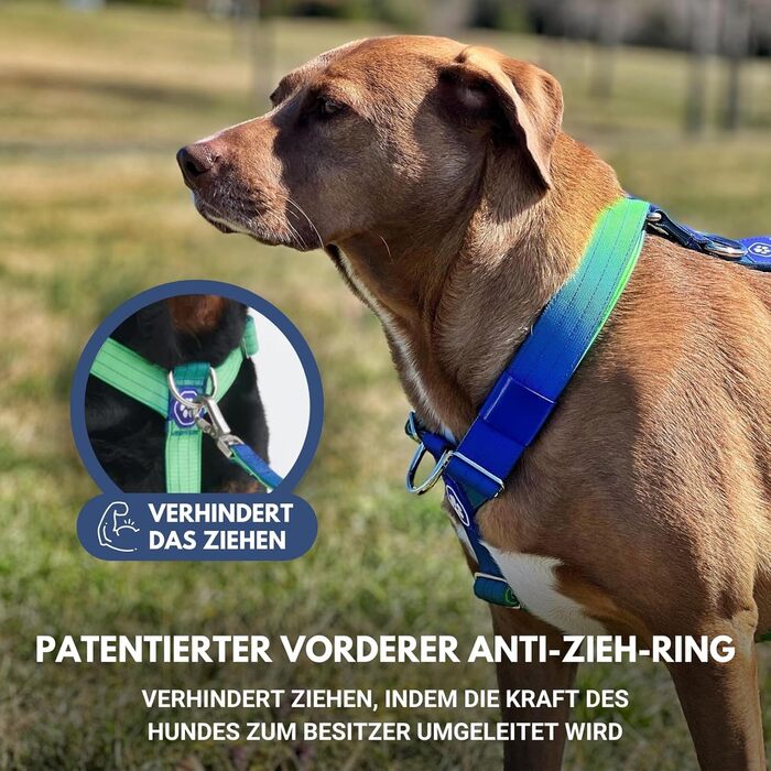 Шлейка для собак Spark Paws No Pull для великих порід, з переднім кріпленням, Y-подібна, міцна та надійна, Lime Wave, L (36-68 кг)