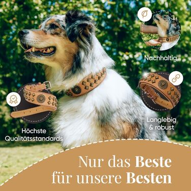 MICHUR Diego Beige Leine, Leather Dog Lead, Flat Lead, Leather Lead for Dogs, MATCHES the Diego Brown Beige Gold Collar, Size 150cm x 2.5cm (Neck circumference 47-54cm)