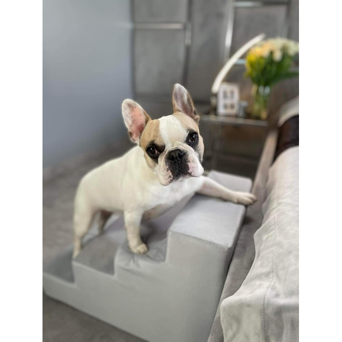 Сходинка для собак Velinda з 4 сходинками, також підходить для котів. Допомога у входженні для домашніх тварин. Матеріал: пінопласт. Колір: темно-синій