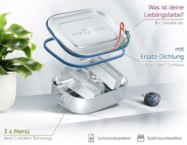 Stainless Steel Lunchbox Premium | Mini 800ml | 2 Dividers / 3 Compartments | 5 x DEKO color rings + 2 x Seal & Smart Clips | Leak-proof, eco-friendly lunchbox for kids