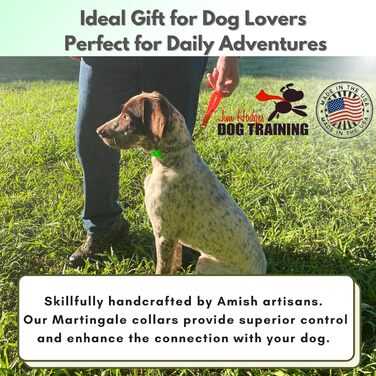 Нашийник для собак Artingale від JI HODGES, біотана, не тягне, професійна якість, середній розмір